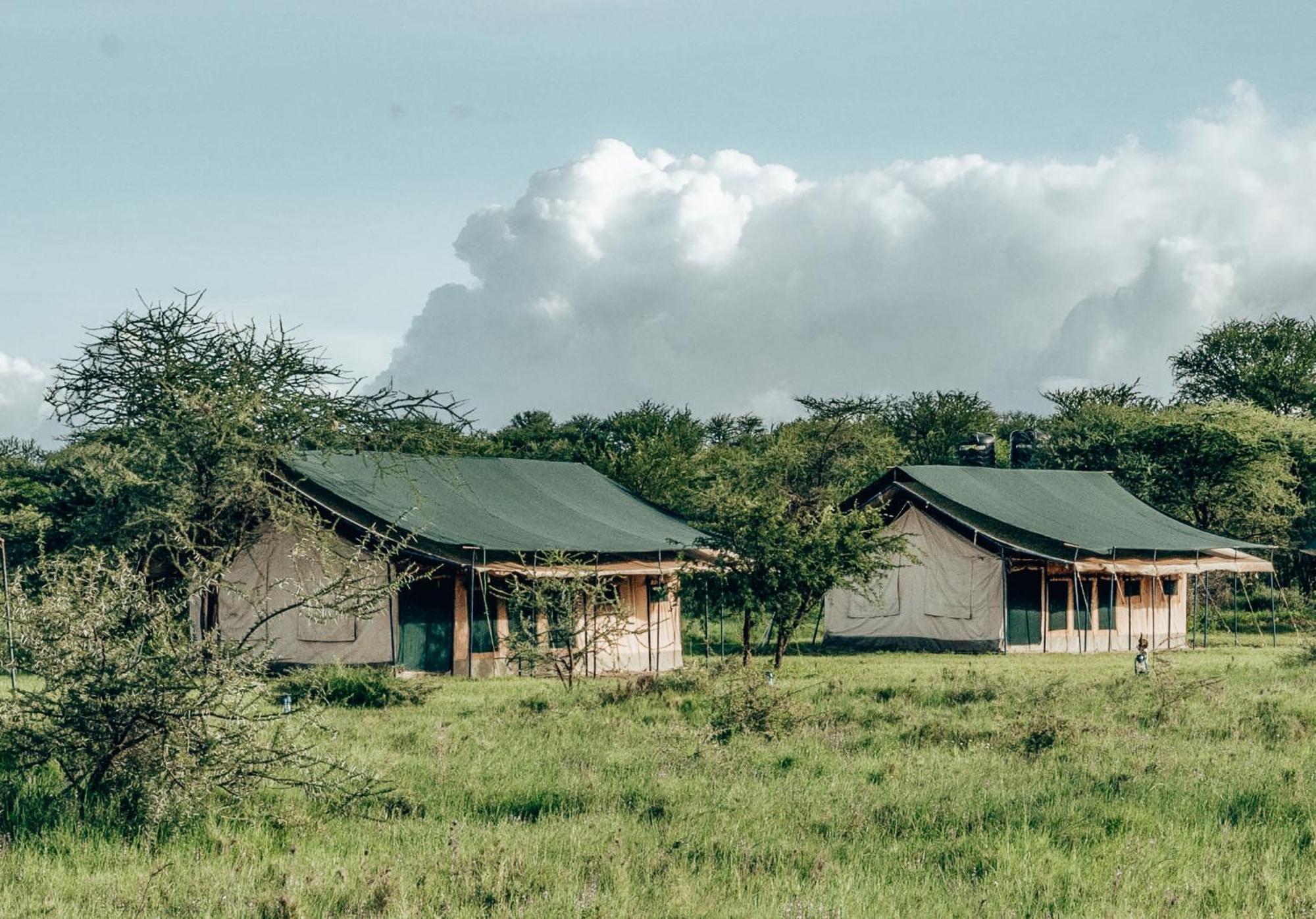 Serengeti Kamwene Tented Camp Nyabogati Zewnętrze zdjęcie